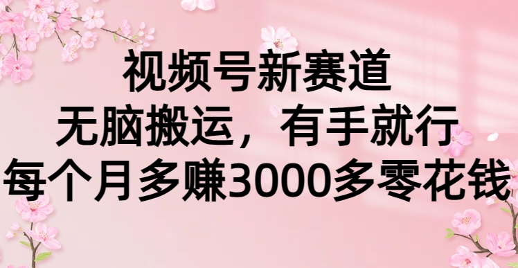 (9278期)视频号新赛道，无脑搬运，有手就行，每个月多赚3000多零花钱