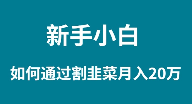 (9308期)新手小白如何通过割韭菜月入 20W