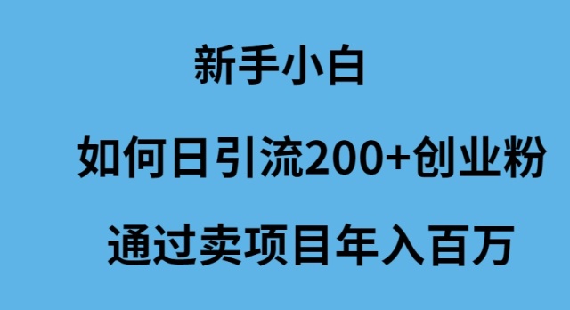 (9668期)新手小白如何日引流200+创业粉通过卖项目年入百万