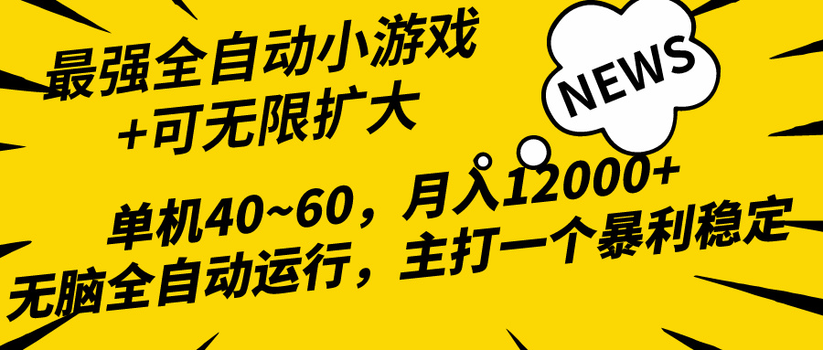 (10046期)2024最新全网独家小游戏全自动，单机40~60,稳定躺赚，小白都能月入过万