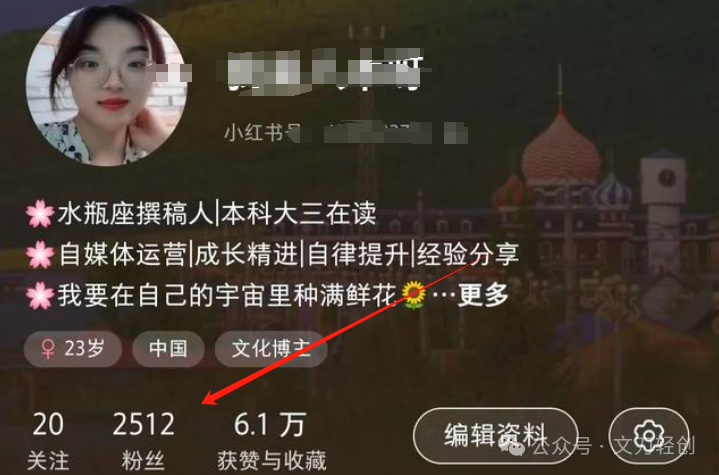 小红书卖虚拟资源，一单19.9，一天500+