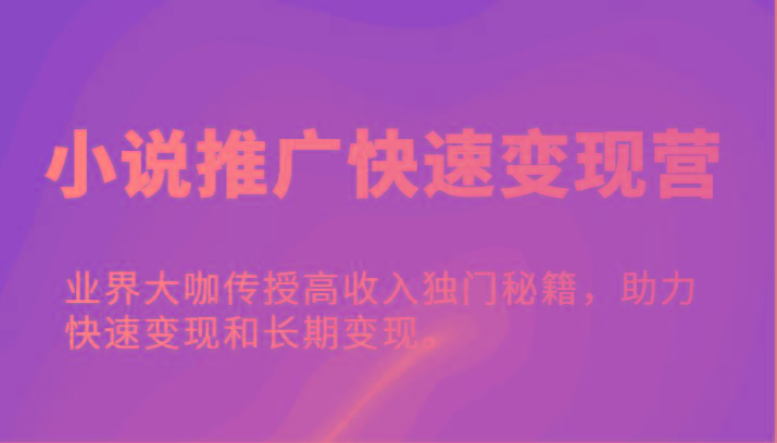 小说推广快速变现营-业界大咖传授高收入独门秘籍，助力快速变现和长期变现。