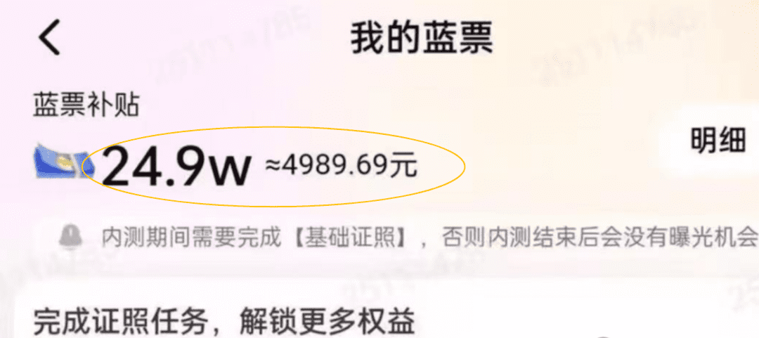线上陪伴项目玩法，聊聊天就有收益的项目，一个月收益5000+