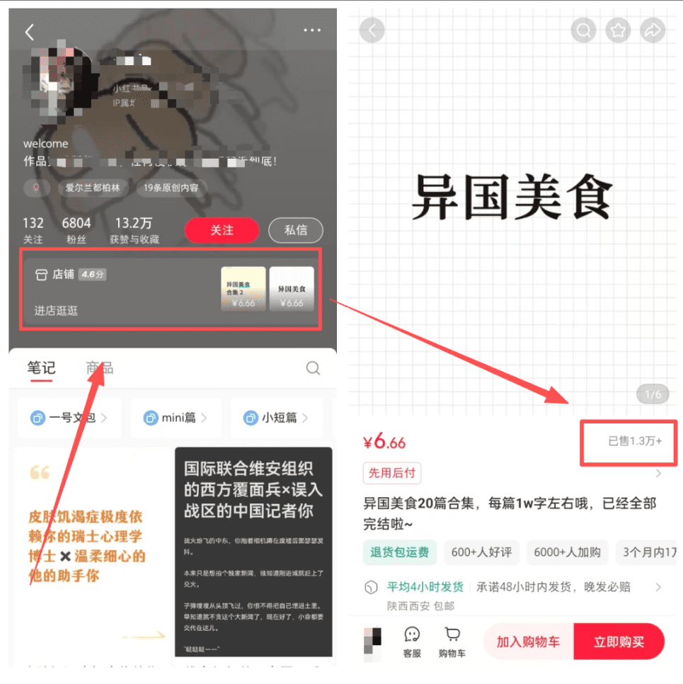 小红书卖小说项目玩法，操作简单，小众冷门赛道
