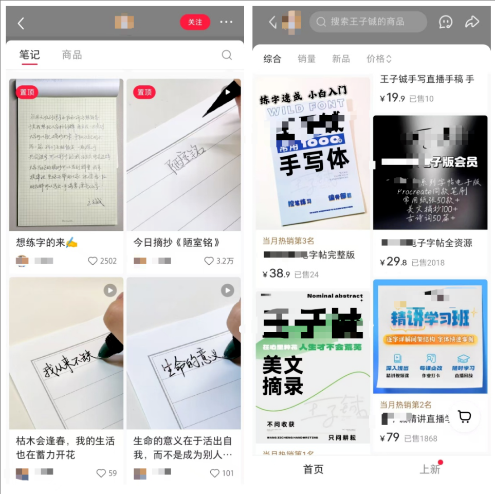 在小红书做书抄项目，简单实拍写字，赚了10万+（附工具箱）